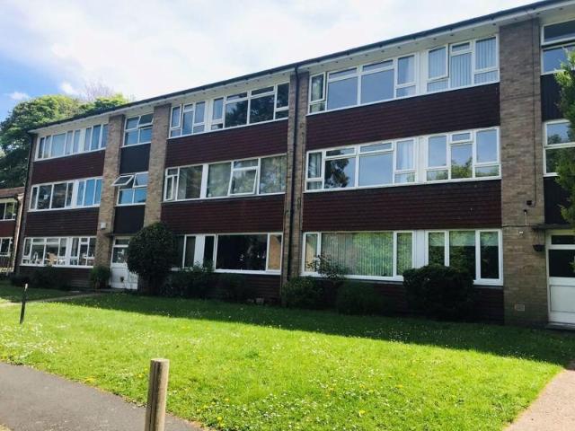 Apartment for rent in Caterham Valley, Hillview