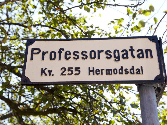 Lägenhet hyra i Söder, Malmö