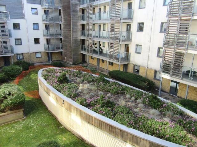 Apartment for rent in Round Hill, Brighton & Hove