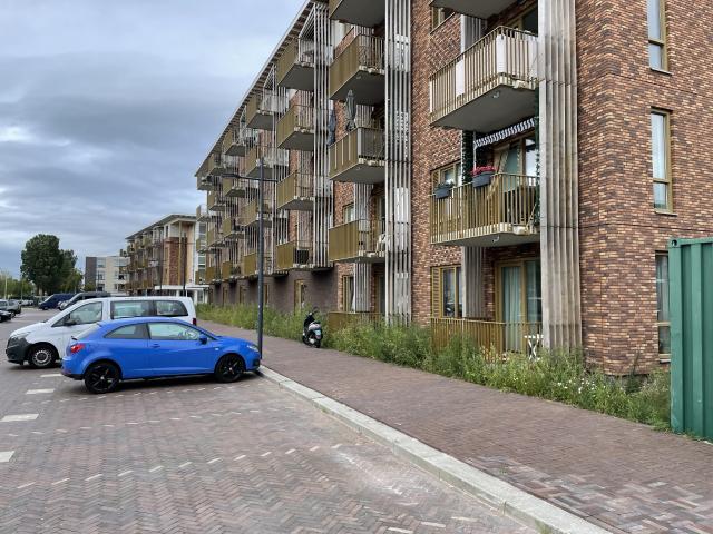 Appartement te huur in Kampen, Overijssel