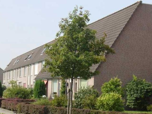 Appartement te huur in Kampen, Overijssel