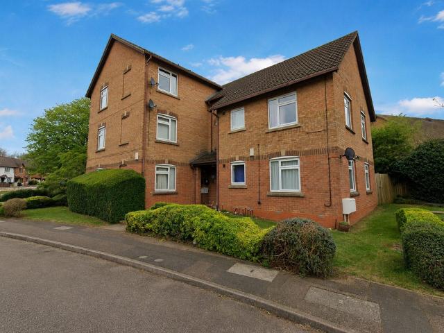 Apartment for rent in Spring Park, Kingsthorpe