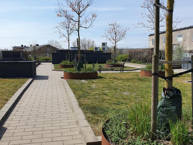 Lägenhet hyra i Malmö, Skåne
