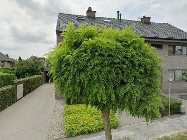Appartement location à Rupelmonde, Oost-Vlaanderen