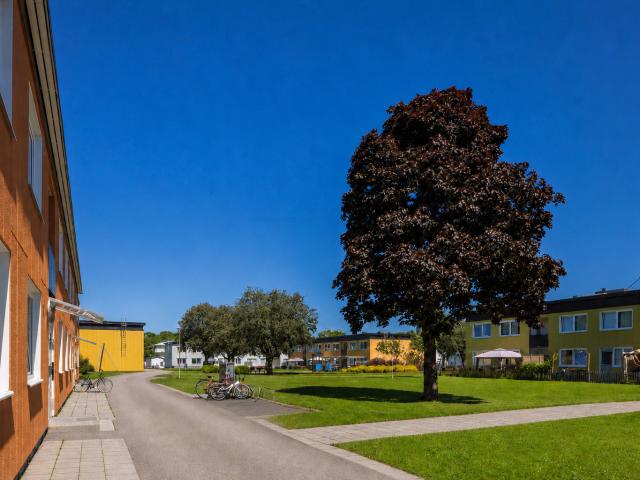 Lägenhet hyra i Trollhättan, Västra Götaland