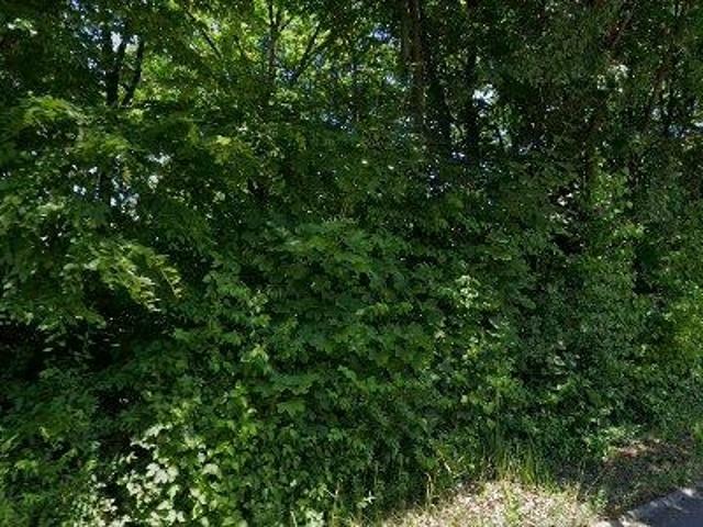 Apartment mieten in Doppl, Leonding