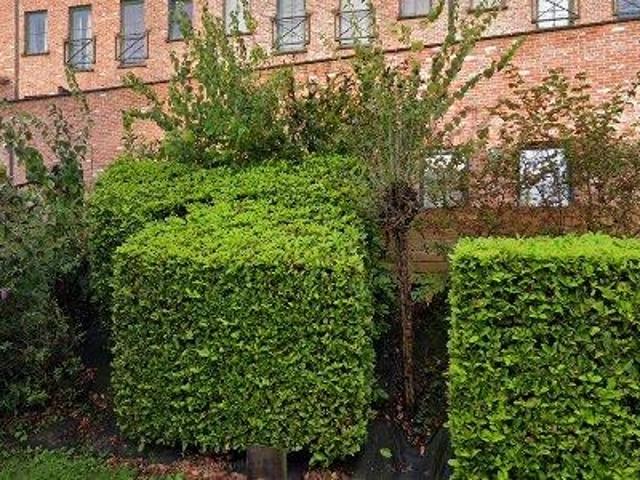 Appartement location à Janseniushof, Leuven