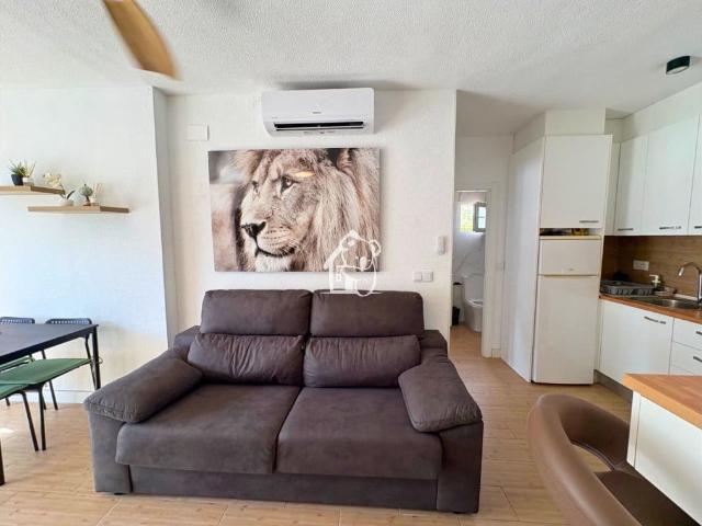 Apartamento en alquiler en Urbanización La Ceñuela, el Baix Segura / La Vega Baja