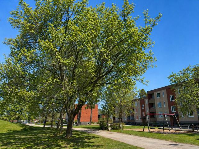 Lägenhet hyra i Mariestad, Västra Götaland