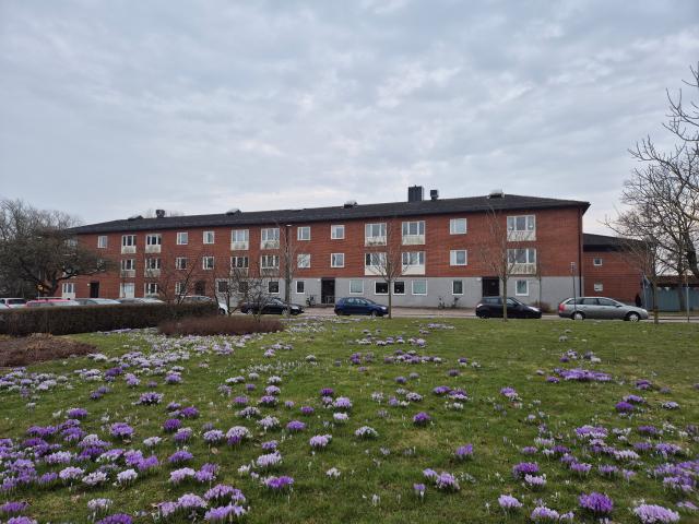 Lägenhet hyra i Skåne