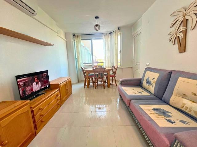 Casa en alquiler en Mil Palmeras, el Baix Segura / La Vega Baja