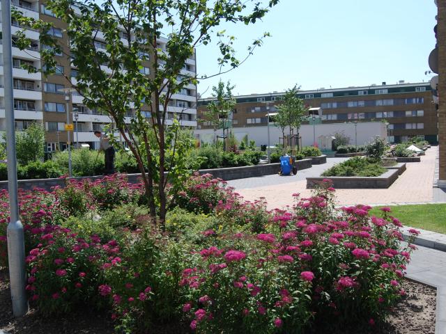 Lägenhet hyra i Innerstaden, Malmö