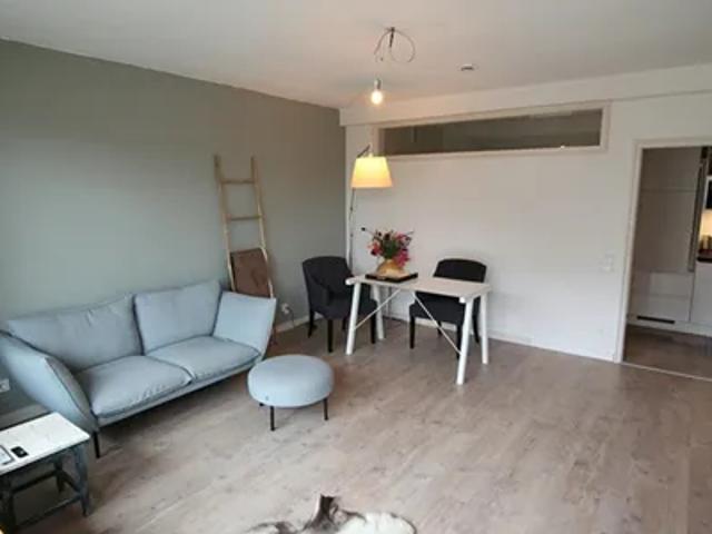 Apartment mieten in Altstadt, Munster
