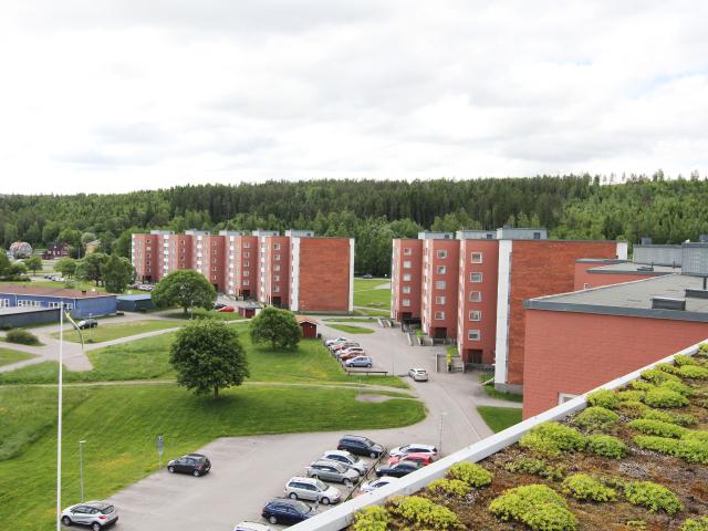 Lägenhet hyra i Västernorrland