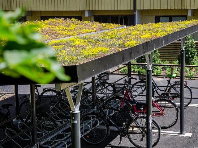 Lägenhet hyra i Lund, Skåne