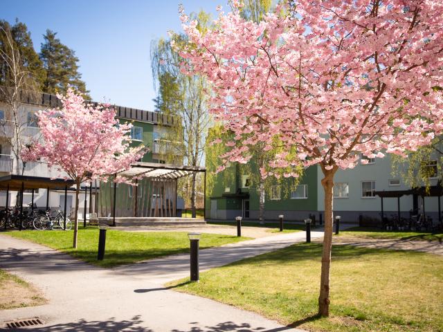 Lägenhet hyra i Katrineholm, Södermanland