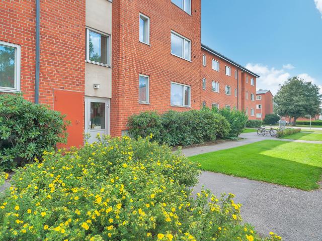 Lägenhet hyra i Älmhult, Kronoberg