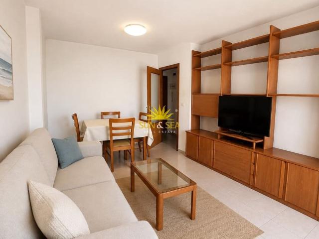 Casa en alquiler en Casco Antiguo - Santa Cruz - Ayuntamiento, l'Alacantí