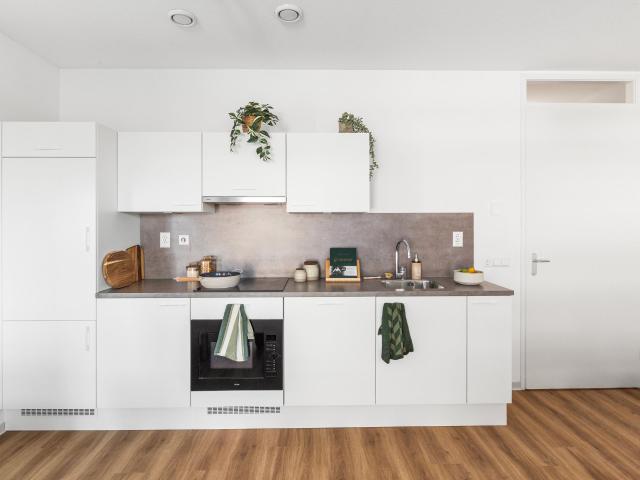 Appartement te huur in Artiestenbuurt, Rijswijk