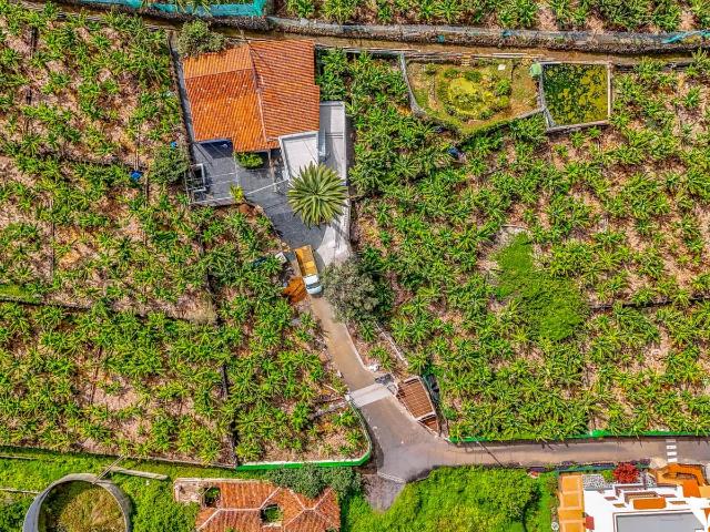 Apartamento en alquiler en Puerto De La Cruz, Canarias