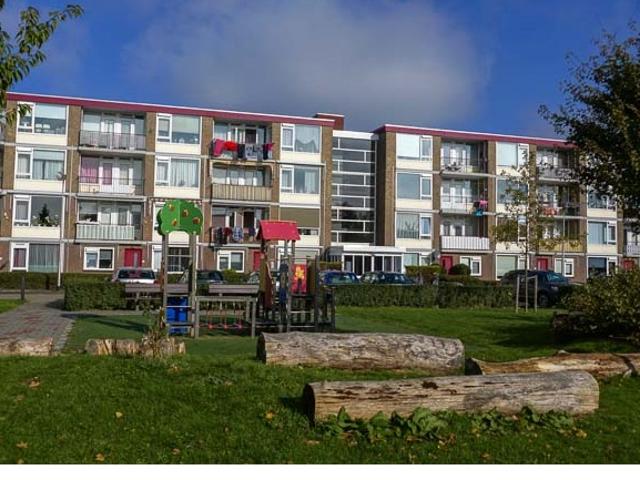 Appartement te huur in Rijnsburg, Zuid Holland