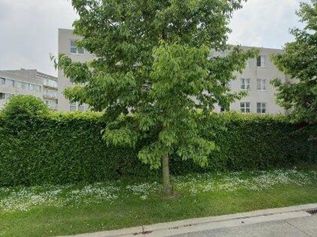 Appartement location à Roeselare, West-Vlaanderen