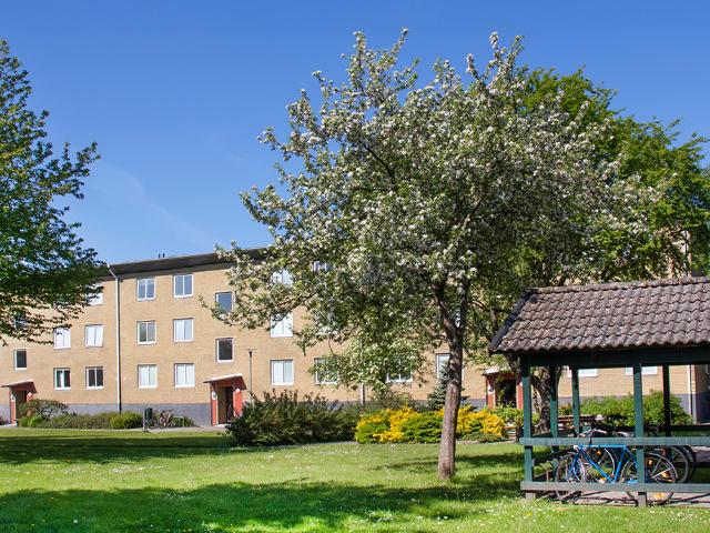 Lägenhet hyra i Eslöv, Skåne