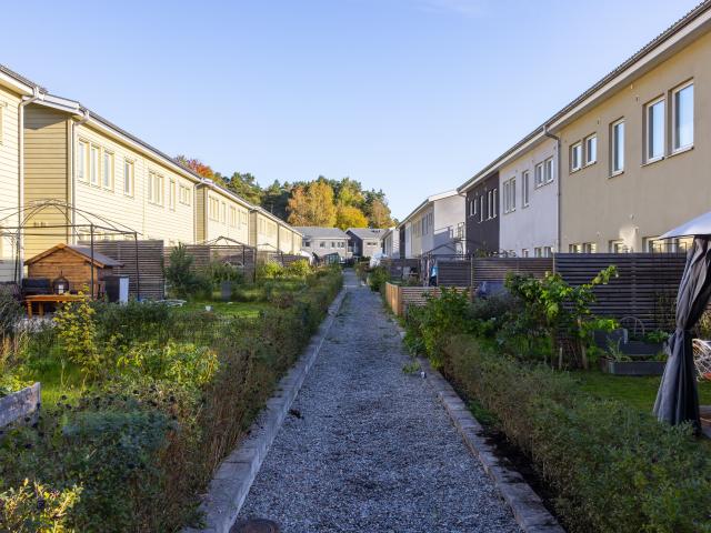 Lägenhet hyra i Stockholm