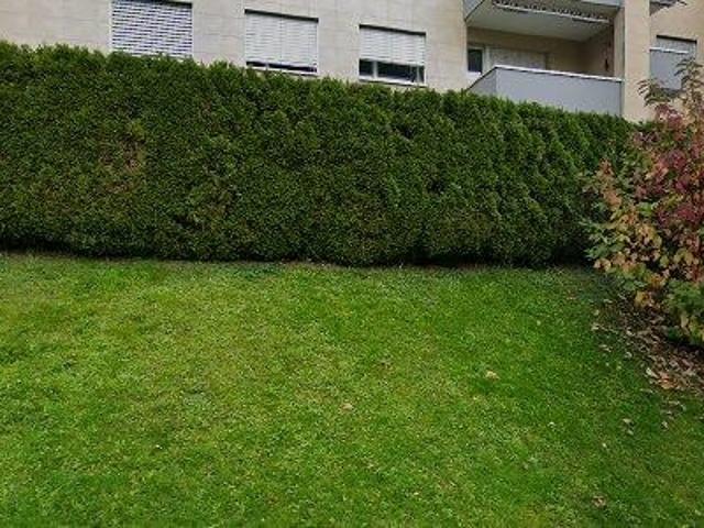 Apartment mieten in Schwarzenbach (SG), St. Gallen