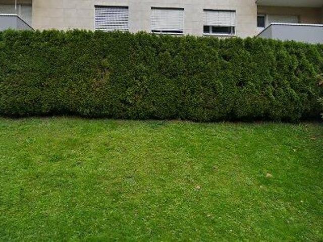 Apartment mieten in Schwarzenbach (SG), St. Gallen