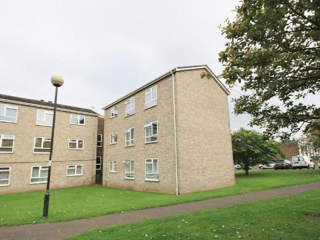 Apartment for rent in New Catton, East Bank
