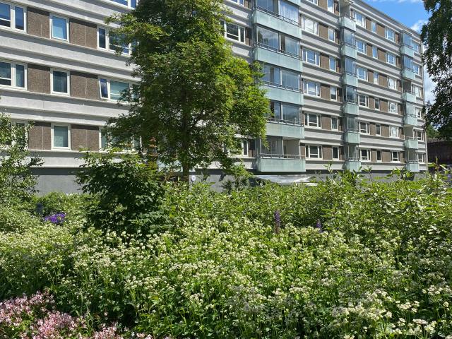 Lägenhet hyra i Göteborg, Västra Götaland