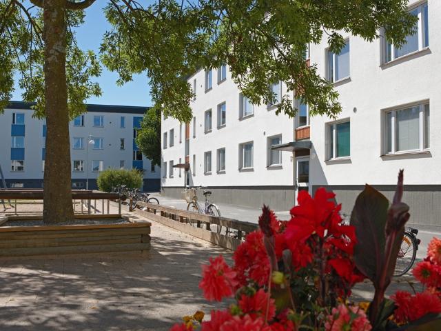 Lägenhet hyra i Norrköping, Östergötland