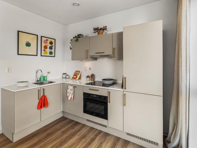 Appartement te huur in Artiestenbuurt, Rijswijk