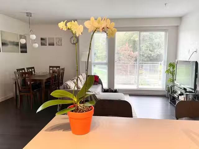 Apartment for rent in Surrey, British Columbia