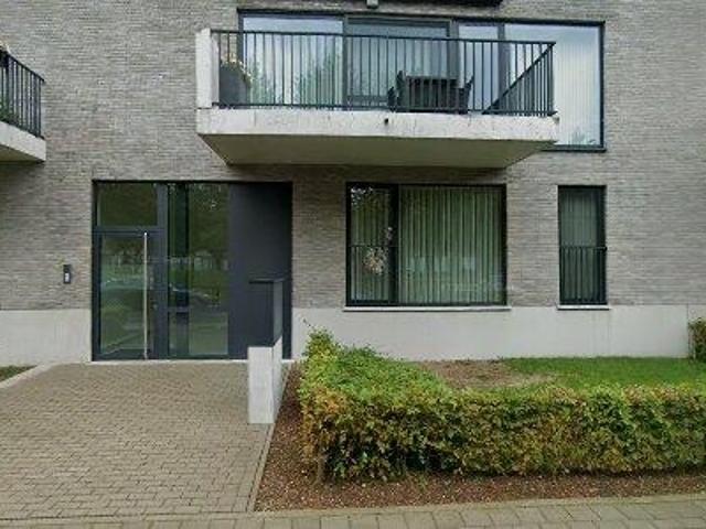 Appartement location à Temse