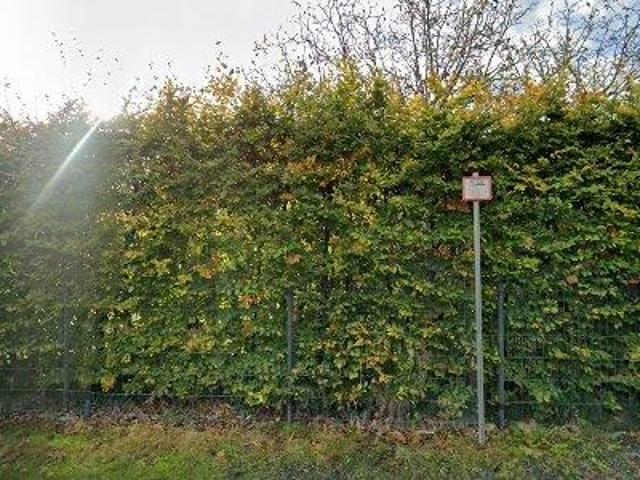 Appartement location à Tamise, Oost-Vlaanderen