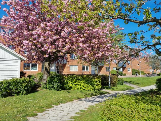 Lägenhet hyra i Trelleborg, Skåne