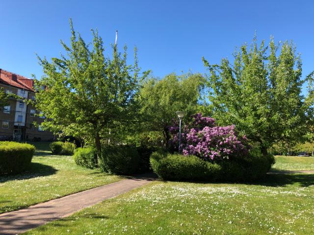 Lägenhet hyra i Trelleborg, Skåne