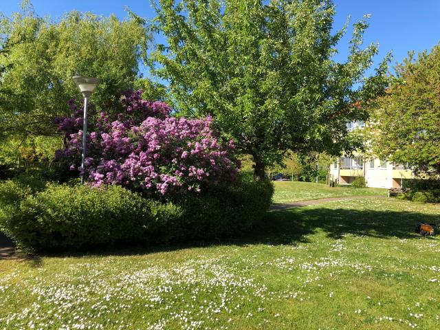 Lägenhet hyra i Trelleborg, Skåne