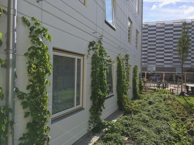 Lägenhet hyra i Malmö, Skåne