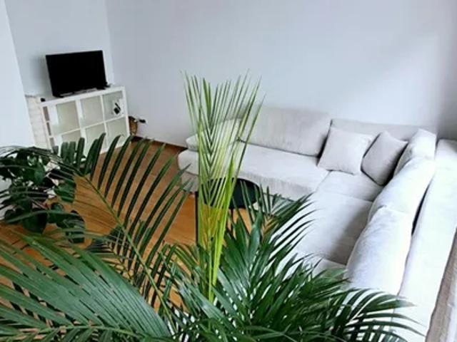 Apartment mieten in KG Alsergrund, Wien