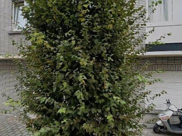 Appartement location à Vilvoorde, Brabant