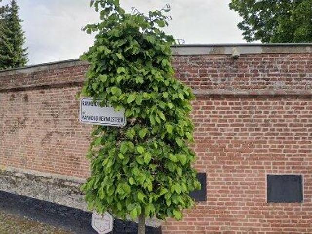 Appartement location à Oppem, Wezembeek-Oppem
