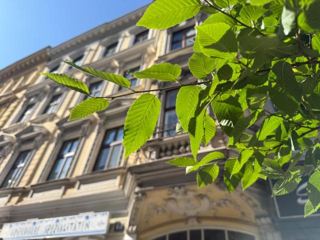 Apartment mieten in Innere Stadt, Wien