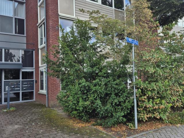 Appartement te huur in Wijhe, Overijssel