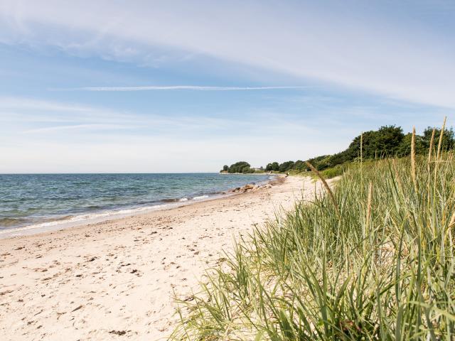 Lägenhet hyra i Ystad, Skåne