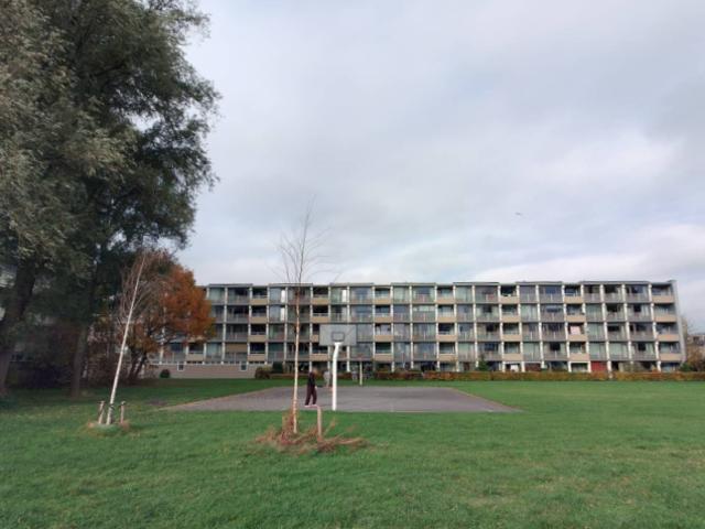 Appartement te huur in Bilgaard, Leeuwarden
