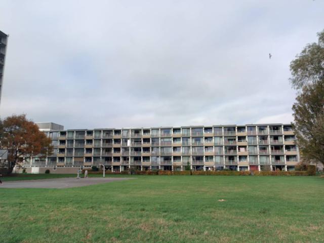 Appartement te huur in Bilgaard, Leeuwarden