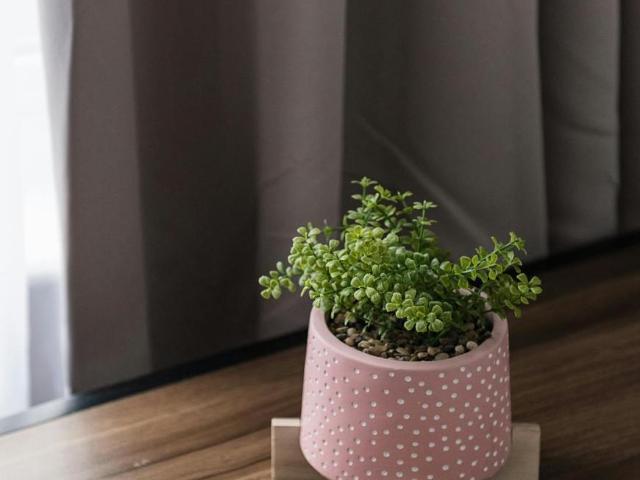 Apartment for rent in London Borough of Brent, Greater London